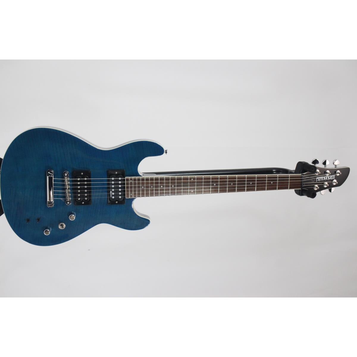 FERNANDES APG-55S サスティナー