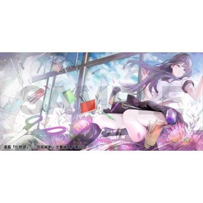 大暮維人画集 Sky& アニメイト 特典 アニメイト 複製原稿 化物語【全22