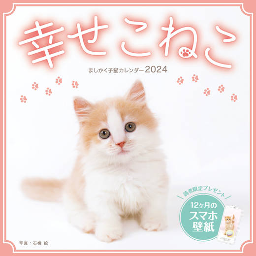 ましかく子猫カレンダー 幸せこねこ - インプレスブックス