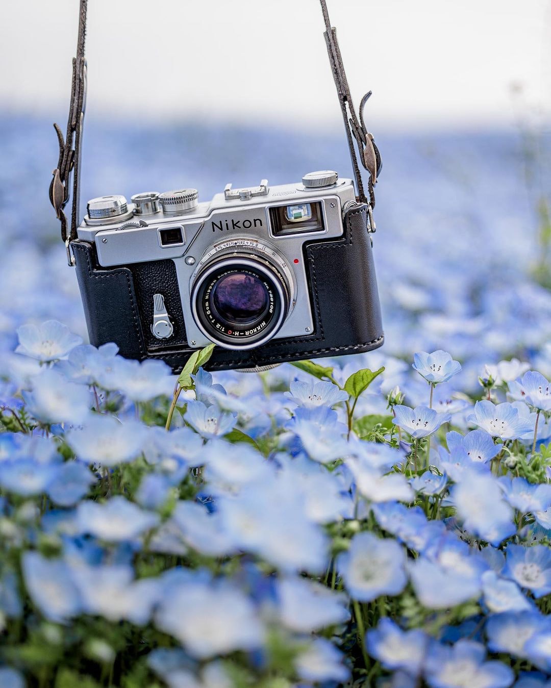 ニコンS3 LIMITED（復刻版）シルバー S3 Limited Edition (50mm F1.4付