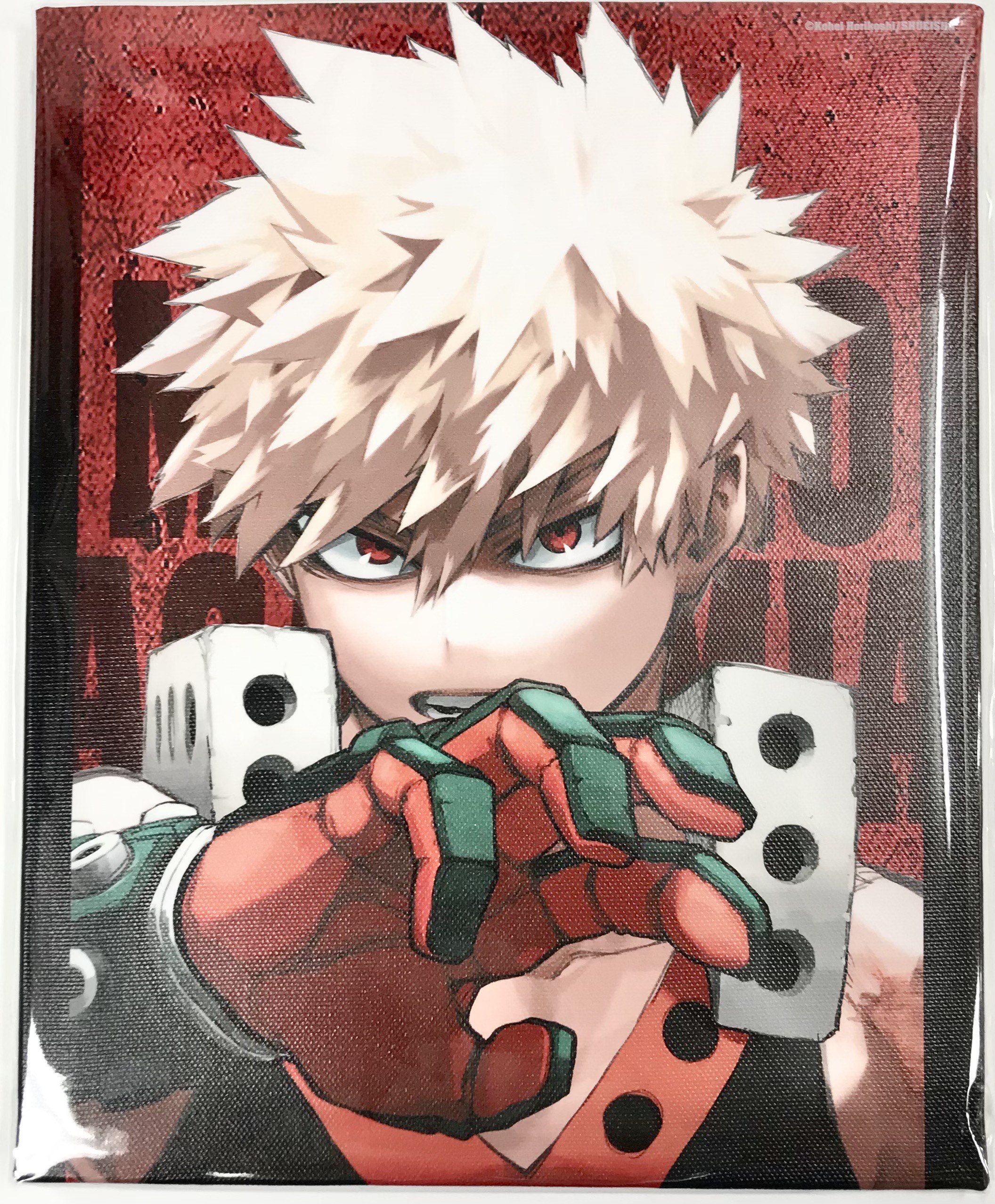 ヒロアカ アートコースター rivals BOX特典付 デク 緑谷出久 爆豪勝己