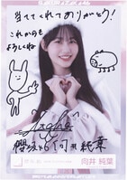 乃木坂46 生田絵梨花 直筆サイン入りタペストリー 乃木坂46 生田絵梨花