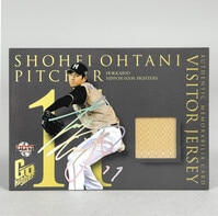 プレシャスメモリーズ 恋と選挙とチョコレート 住吉千里 中村繪里子