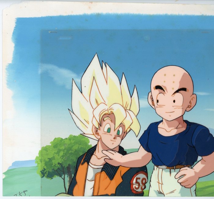 ドラゴンボール アニメーションセル クリリン 孫悟空 ドラゴンボールZ