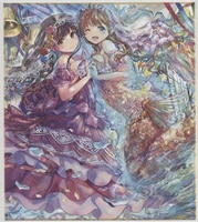 西屋太志カラー複製色紙[Free!-Eternal Summer-]