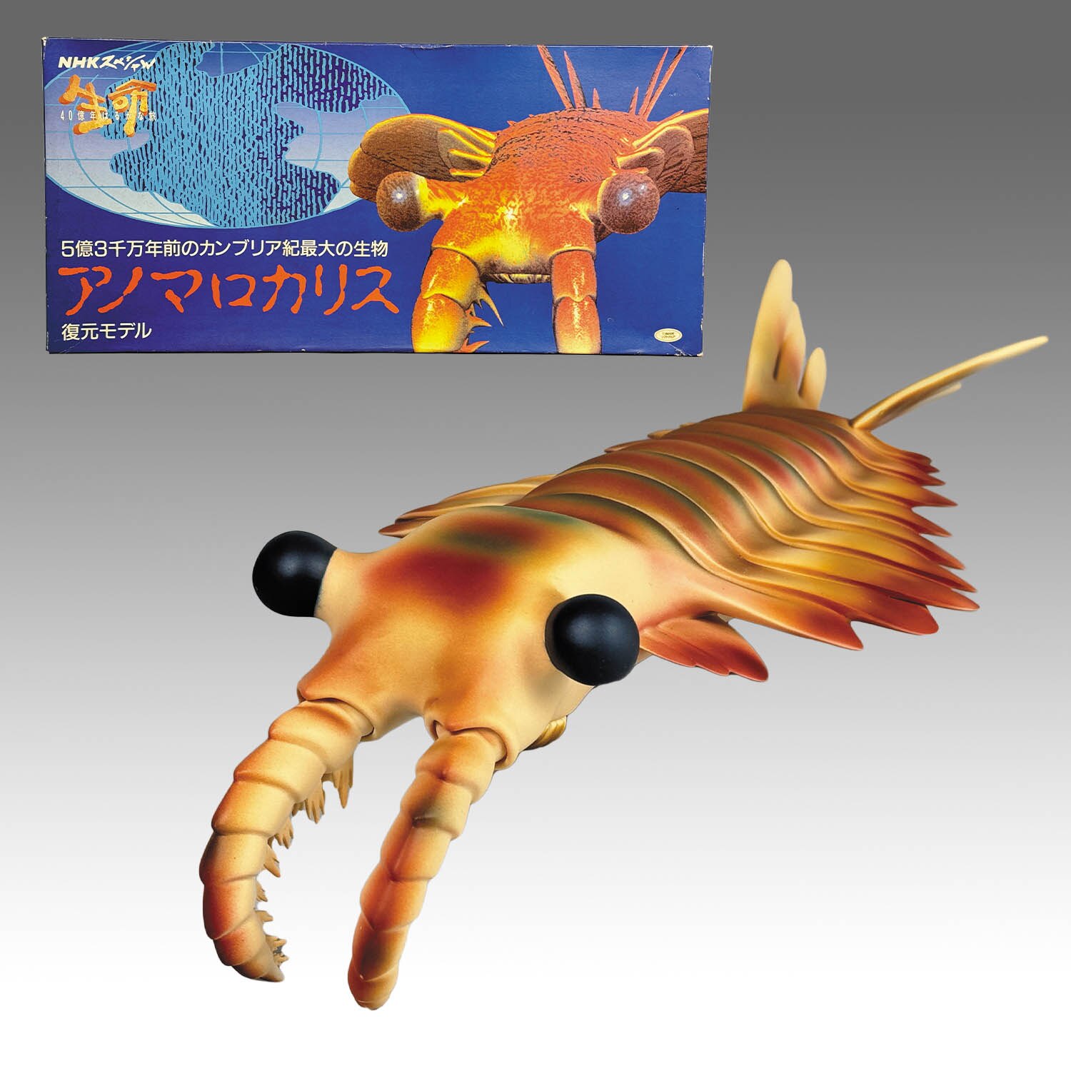 カンブリア紀 アノマロカリス フィギュア 化石 復元モデル NHK