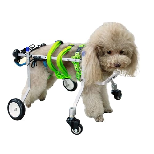 ワンちゃん4輪 リハビリ 食事補助 犬用車椅子 トイプー等介護 犬の歩行