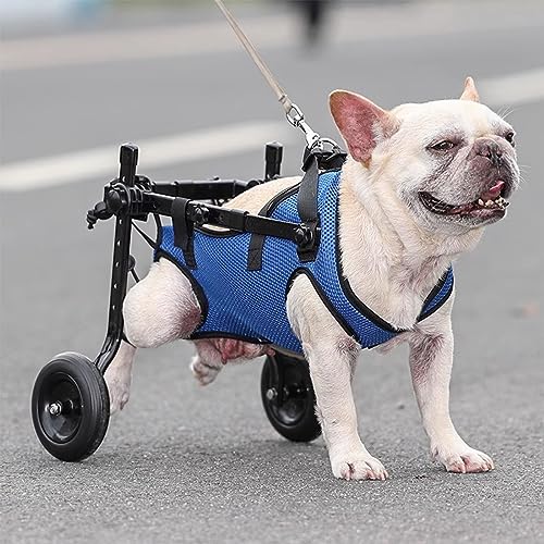 さっちんページ□小型犬用4輪 犬の車椅子 犬の歩行器 +