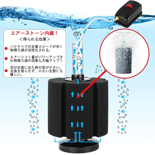 沈殿物理生物一体型濾過槽 外部式濾過装置器 水槽濾過バイオスポンジ