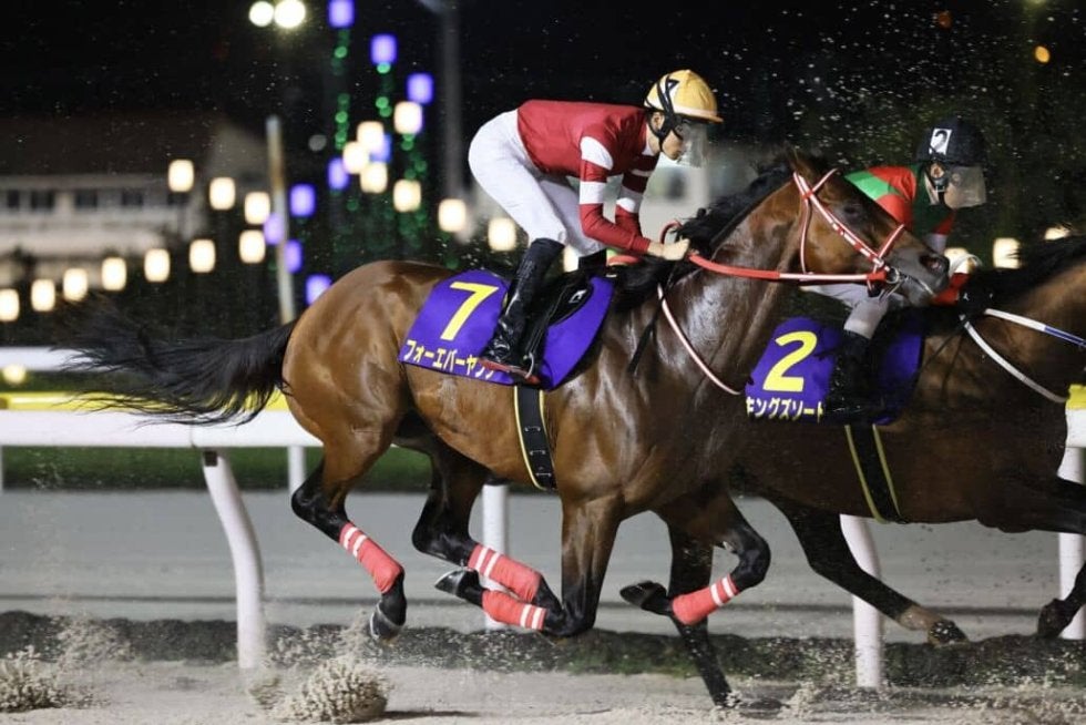 フォーエバーヤング 2025年ブリーダーズカップ 両日セット➕ネック