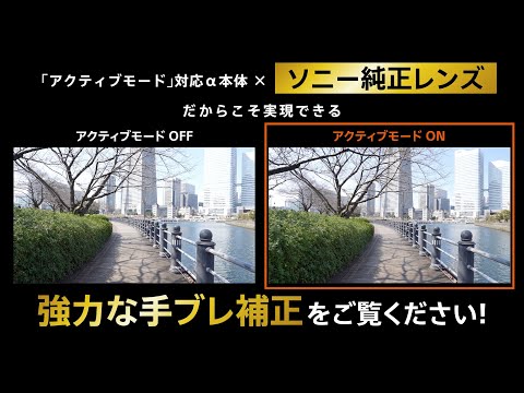 カメラレンズ FE 135mm F1.8 GM G Master SEL135F18GM [ソニーE /単