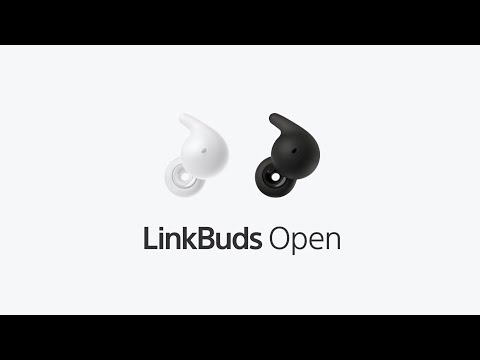 完全ワイヤレスイヤホン LinkBuds Open ブラック WF-L910BZ