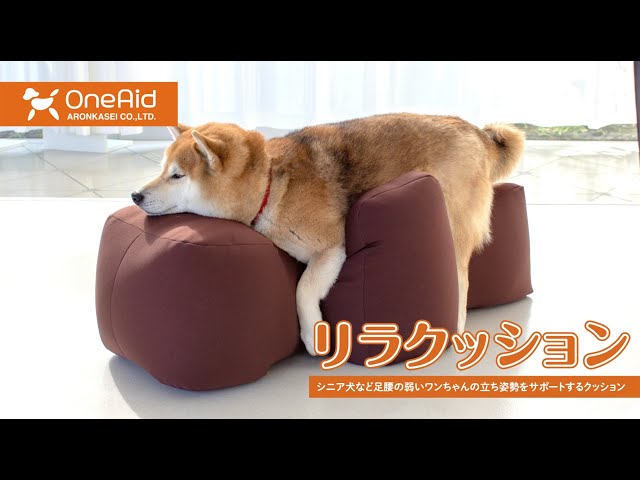 ワンエイド】アロン化成