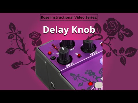 Eventide Rose Delay Effect Pedal | Sweetwater