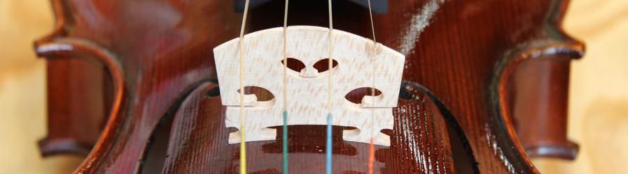 6-7月限定キャンペーン】 Conrad Gotz バイオリンセット