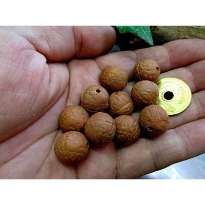鳳眼菩提樹ビーズナチュラル10 - ネパール、アジア、世界不思議雑貨