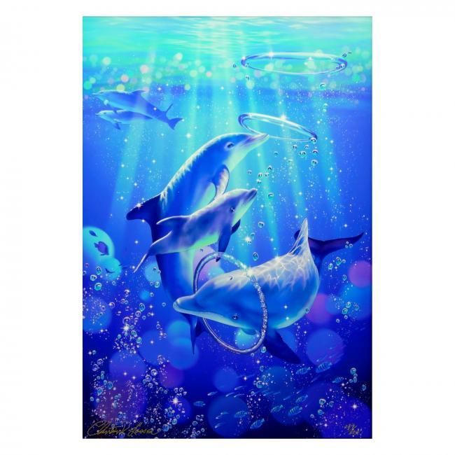 クリスチャンラッセン(ドルフィンシンフォニー(S))