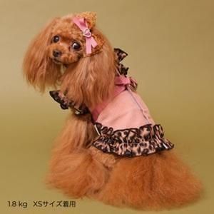 ハーネス 【GODPIVA テラヘルツレオパード ピンク×ブラウン