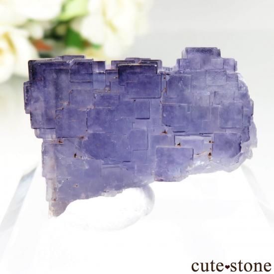 ウイグル自治区 Akesu産 パープルフローライトの原石 No.1 - cute stone -