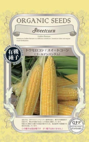 トウモロコシの種【ゴールデンバンタム】〔固定種・有機種子〕 - 種の