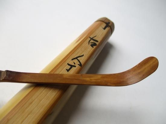 4111 長谷川寛州「松無古今色」 共箱 肉筆 掛軸 臨済宗 大徳寺 禅語