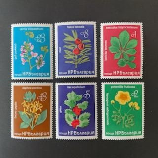 3348 外国切手 ドイツ 1991年 花 シリーズ 5種完 3348 外国切手 ドイツ