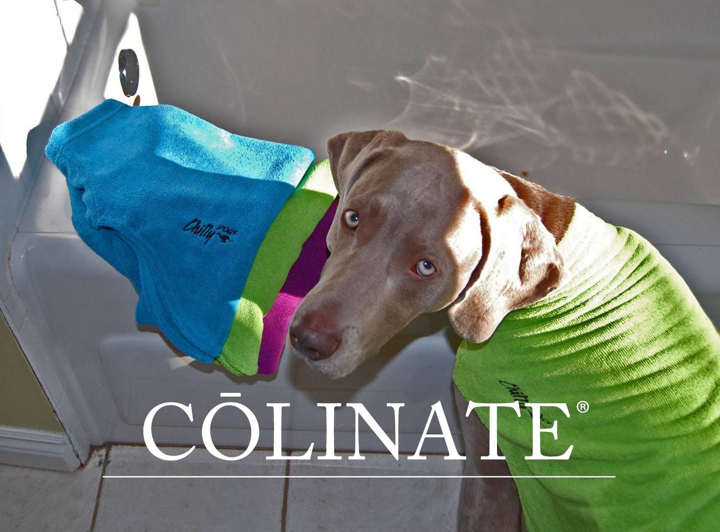 小型犬・中型犬・大型犬・超大型犬用 - クール & ドライ（冷却・速乾