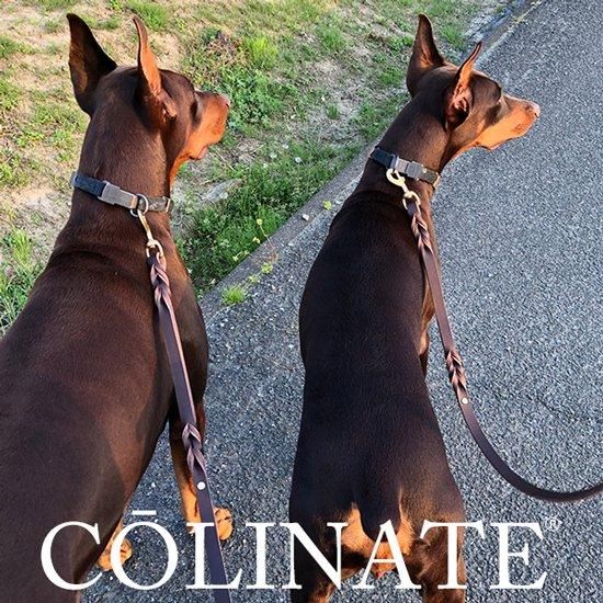 ブランド：COLINATE/コーリネイト - 大型犬のためのハイクオリティ訓練