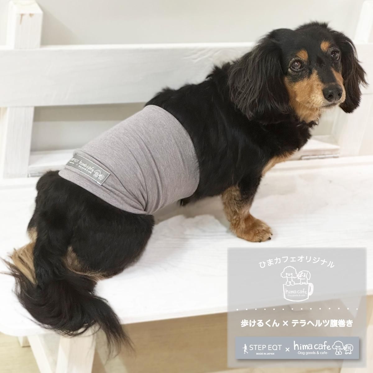 歩けるくん テラヘルツ腹巻／ひまカフェ｜わん子ん家ひまカフェ