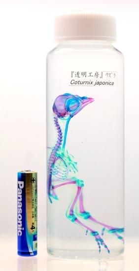 171770561.jpg?cmsp_timestamp=