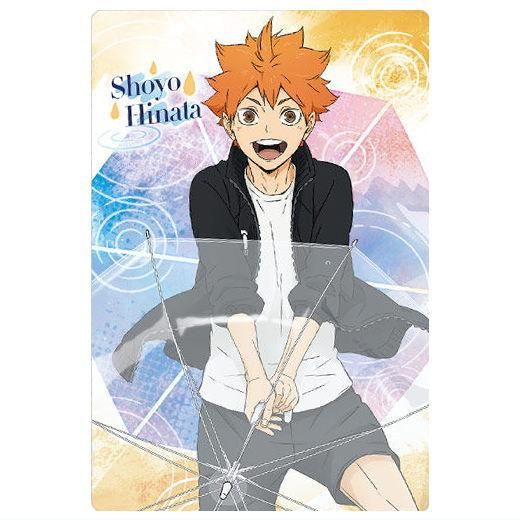 日向翔陽 ハイキュー稀有 5点セッド