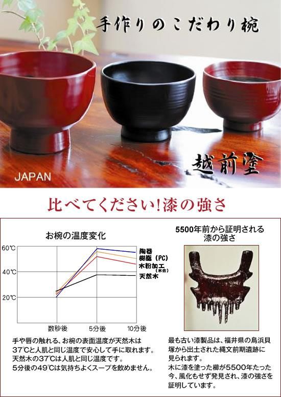 文箱 合成漆器 天然ケヤキ 文箱 合成漆器 天然ケヤキ 文箱合成漆器天然