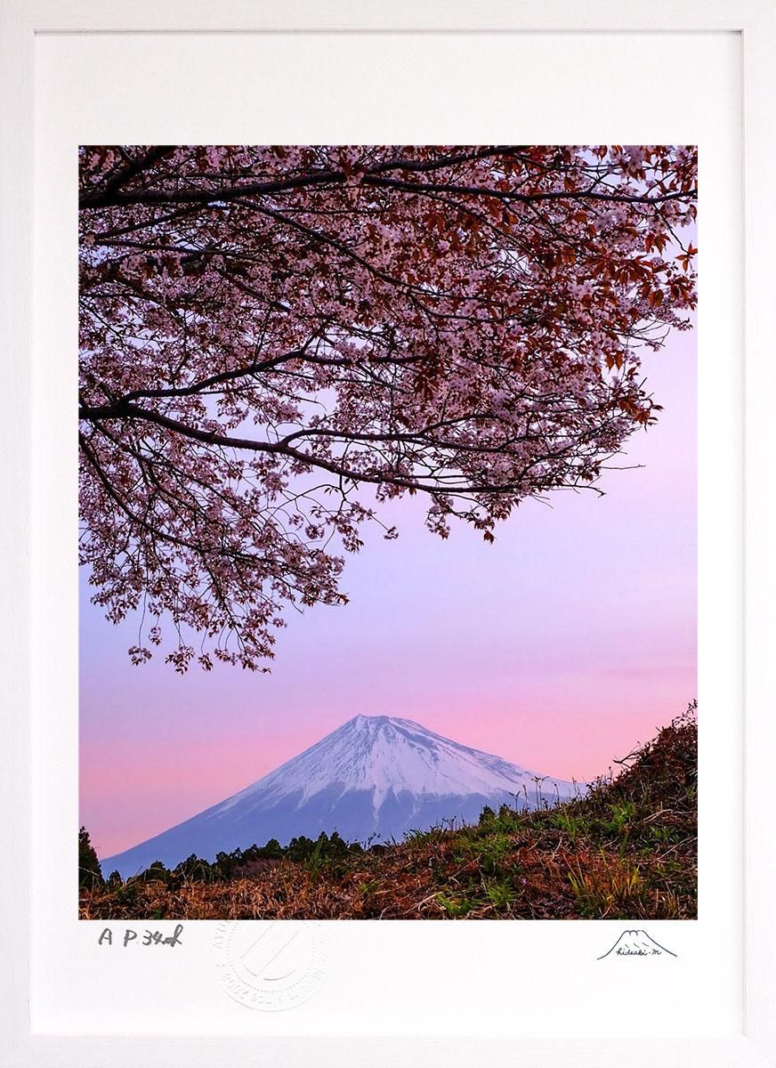 桜と富士山の写真 額入り 【公式通販】