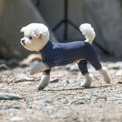 アルファアイコン HOT DOG GUARD - ドッグデコ | 犬と人の健やかな