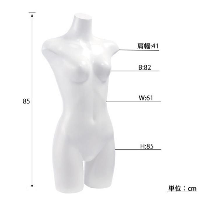 婦人卓上トルソー ST860 | マネキン・トルソーの通信販売 | ディスプラン
