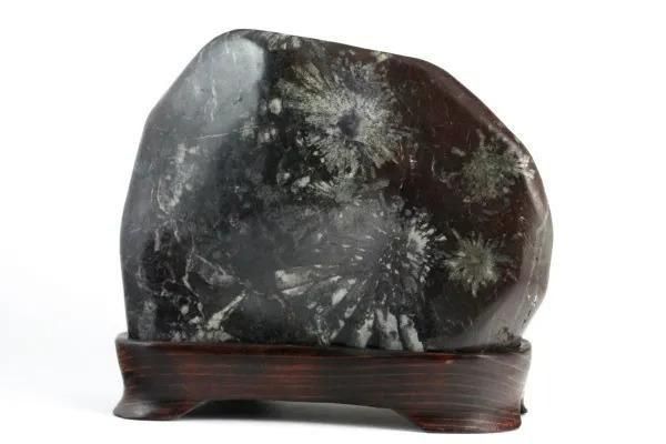 白山紋石 磨き石 3.2kg｜天然石 通販のキラリ石