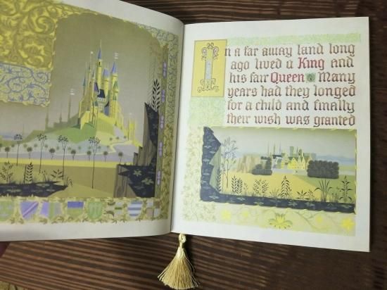 グッズ ディズニー ストア 眠れる森の美女 プリンセス ノート オーロラ