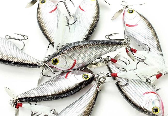 ラッキーAR50枚まとめ売り ラッキー AR 50枚まとめ売り ラッキー AR 50