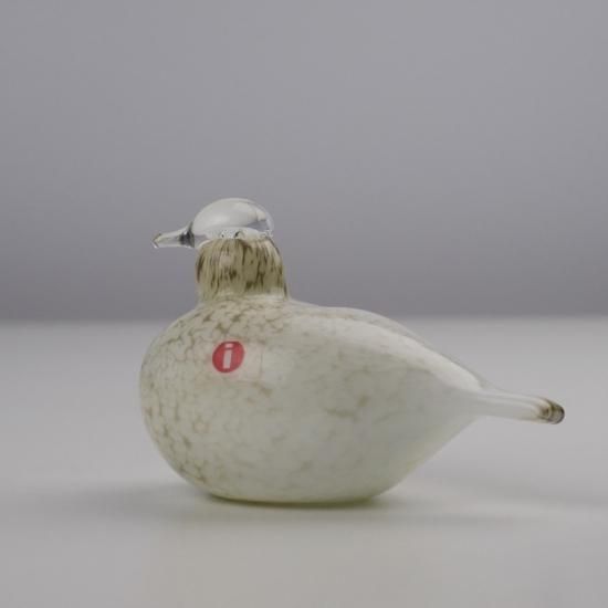 OIVA TOIKKA Bird kiiruna ptarmigan 雷鳥