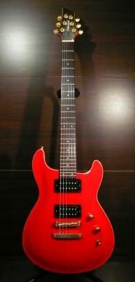 中古】 FERNANDES APG-100 - 中古楽器の販売 ロトミュージック 公式サイト