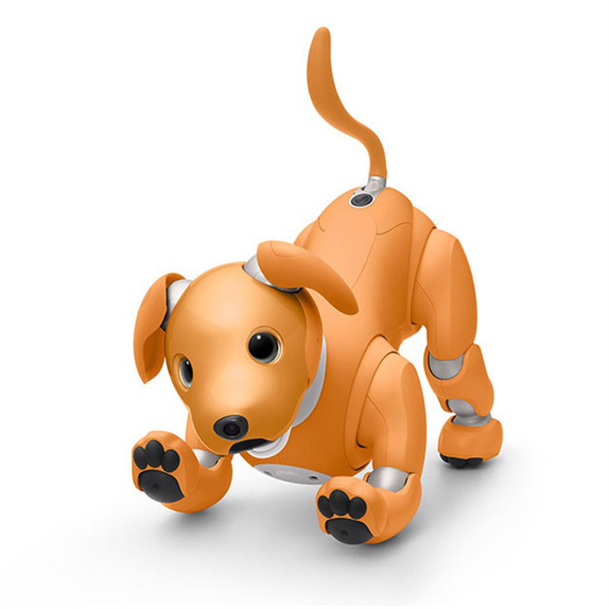 ソニー、aibo（アイボ）の2020年限定カラーモデル「キャラメル