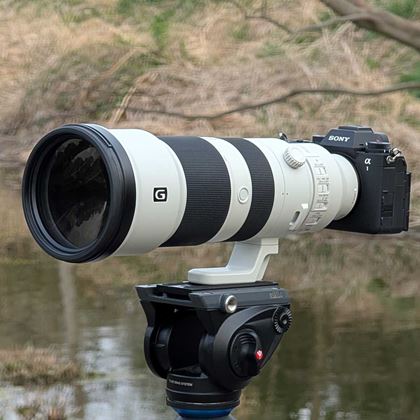今人気ナンバーワンの標準ズームレンズ！ ソニー「FE 24-105mm F4 G