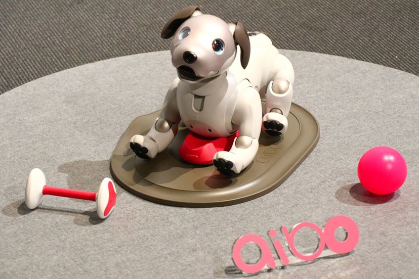 ソニー、新アイボ発売 12年ぶり復活、AIと融合 AIBO ロボット犬 グレー