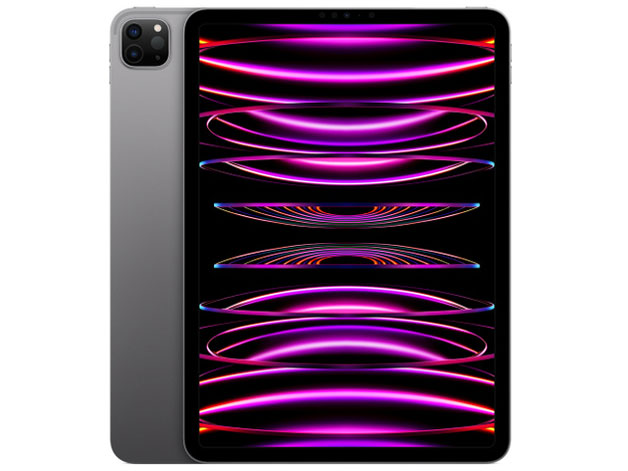 Apple iPad Pro 11インチ 第4世代 Wi-Fi 2TB 2022年秋モデル MNXN3J/A