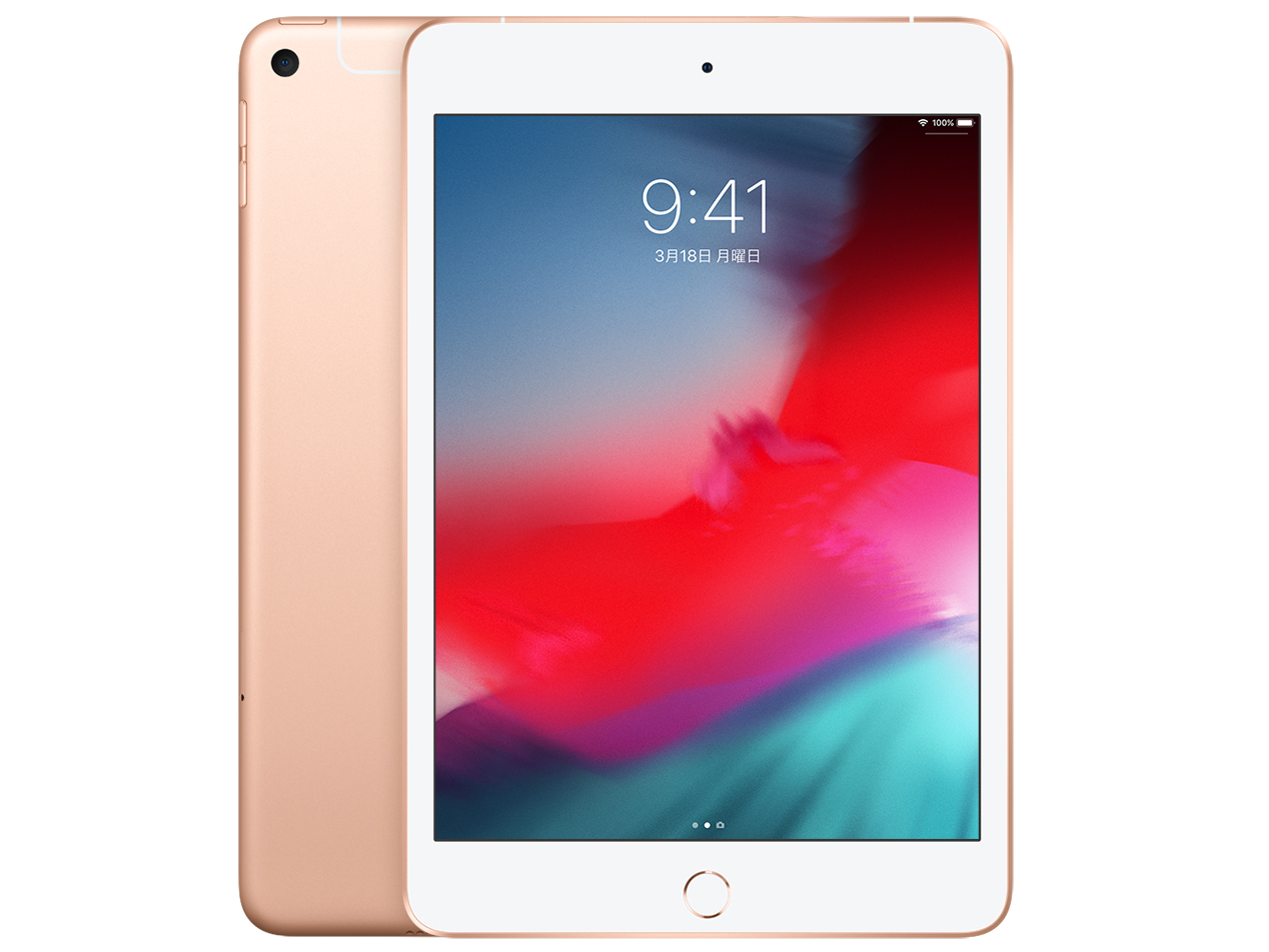 B 電池87% iPad 9 第9世代 グレイ Wi-Fi 256 GB 本体 APPLE 〔