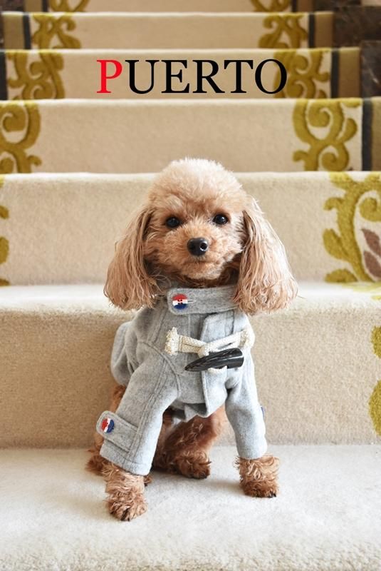 グレーウールダッフルコート - 犬服のPUERTO