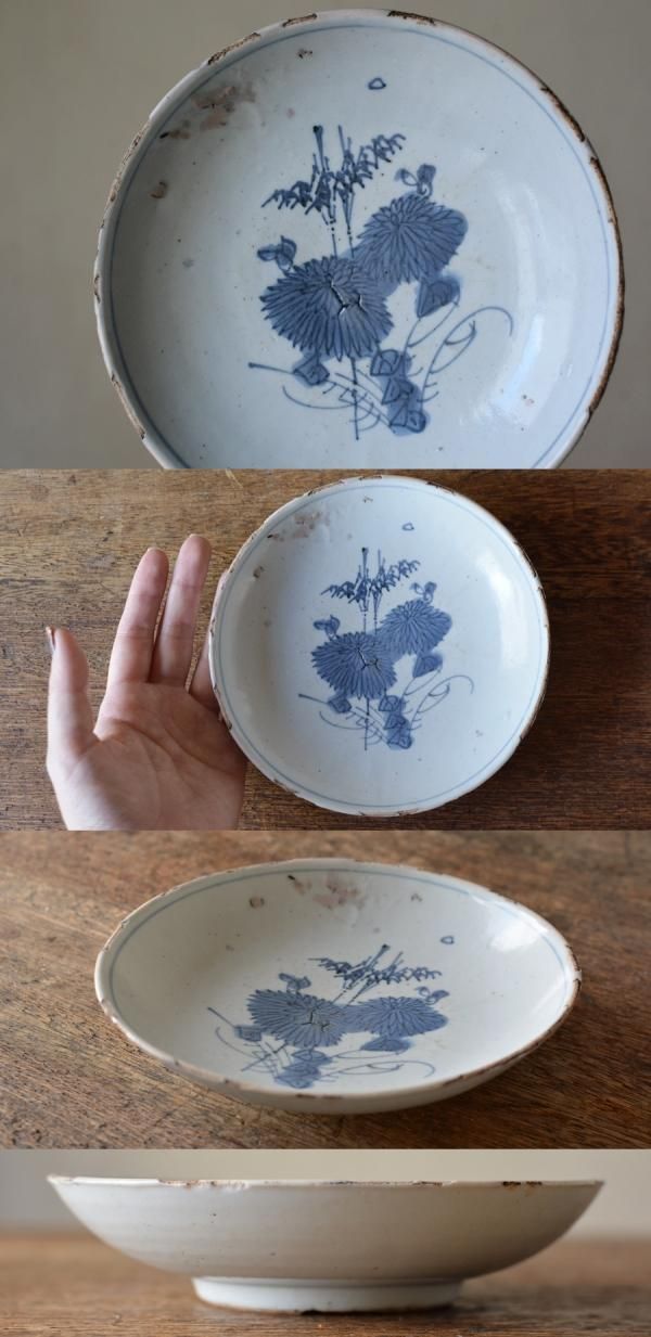 中国明時代 古染付上手菊図皿5枚 木箱付 約15.5㎝ 東Y7-0116☆2F 中国