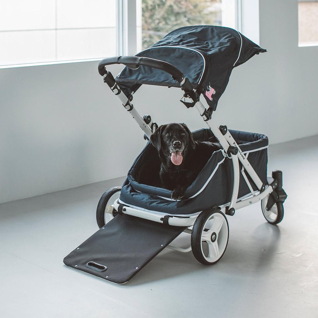 ピッコロカーネ CREA クレア - ドッググッズ・猫グッズ通販 free