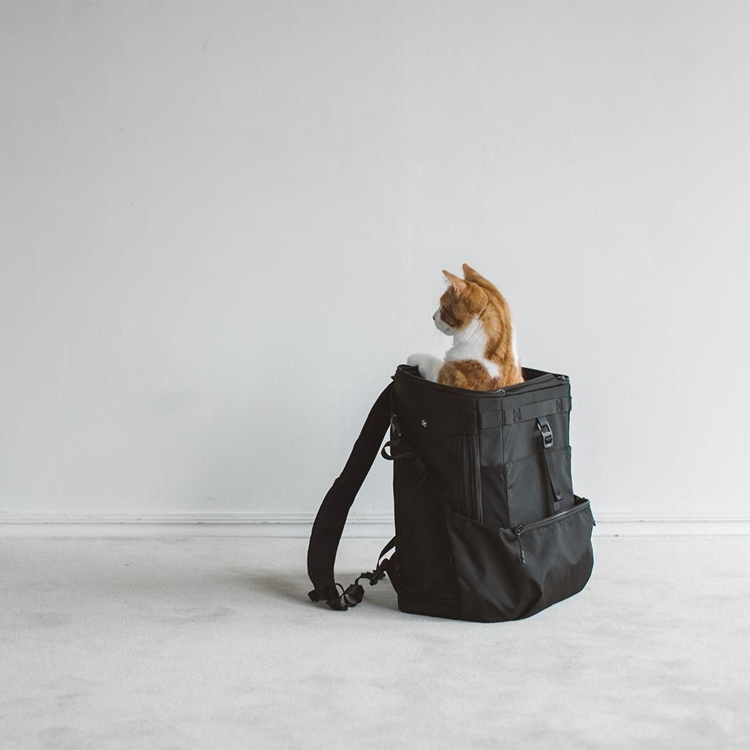 コンフォータブル リュックサック - ドッググッズ・猫グッズ通販 free