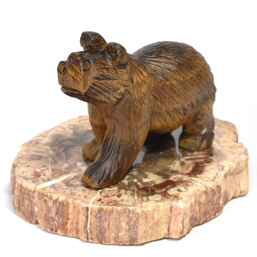 タイガーアイ「熊」彫刻置物（珪化木台座付き）#QB042 - プレミアム